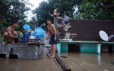 Nước ngập mênh mông, nhiều người dân vùng lũ Thanh Hóa sống khổ trên mái nhà