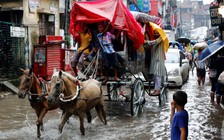 Hai thiếu niên Bangladesh thiệt mạng khi ‘tự sướng’ giữa lũ lụt