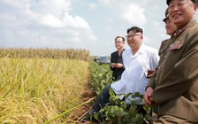 Các nước kêu gọi LHQ xem lại lệnh trừng phạt Triều Tiên