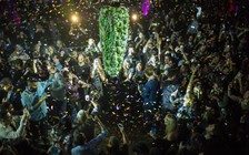 Canada hợp pháp hóa cần sa cho mục đích 'giải trí'