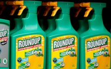Thuốc diệt cỏ chứa glyphosate tăng 41% nguy cơ ung thư