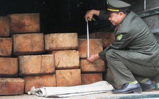 Tài xế bỏ gỗ lậu, chạy thoát thân