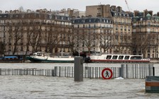 Paris cảnh báo ngập lụt vì sông Seine dâng nước