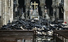 Toàn lực phục hồi nhà thờ Đức Bà Paris