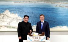 Bánh kem gây tranh cãi tại tiệc tối thượng đỉnh liên Triều