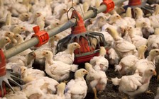 Mỹ tiếp tục đe dọa đánh thuế hàng hóa Trung Quốc