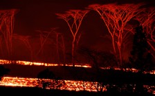 Đi biển hết hồn vì gặp dung nham trôi