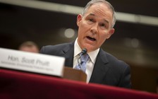 Ngồi trong nhà hàng, sếp cơ quan bảo vệ môi trường Mỹ bị khách ăn yêu cầu từ chức