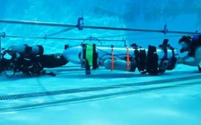 Tỉ phú Elon Musk gửi 'tàu ngầm' tí hon hỗ trợ giải cứu đội bóng Thái Lan