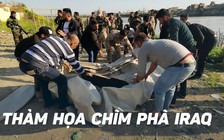 Gần 100 người thiệt mạng vì phà quá tải chìm ở Iraq