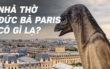 Điều gì bạn nên biết về Nhà thờ Đức Bà Paris?