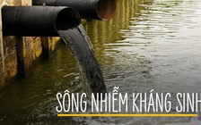 Sông ngòi khắp thế giới nhiễm chất kháng sinh