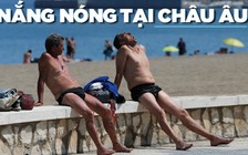 Ngộ nghĩnh giải nhiệt giữa nắng nóng kỷ lục tại châu Âu