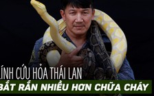 Lính cứu hỏa Bangkok bắt rắn nhiều hơn chữa cháy