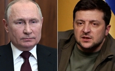 Điện Kremlin nói gì về khả năng hội đàm Putin-Zelensky?