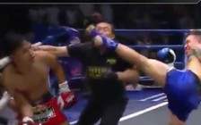 Võ sĩ knock-out cả đối thủ lẫn trọng tài