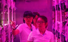4 sinh viên sẽ sống 200 ngày biệt lập để trải nghiệm 'phi hành gia'