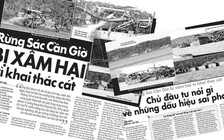 Rừng Sác Cần Giờ bị xâm hại vì khai thác cát: Lập đoàn kiểm tra, xác minh nội dung báo phản ánh