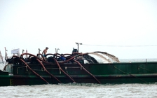 Ào ạt rút ruột biển Cần Giờ: Yêu cầu khởi tố, điều tra