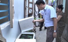 Dịch sốt xuất huyết hoành hành Đà Nẵng