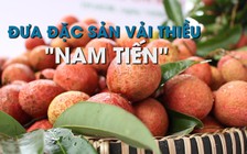 Saigon Co.op đưa đặc sản vải thiều “Nam tiến“