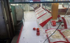 Một sinh viên tham gia vụ cướp tiệm vàng táo tợn ở Đà Nẵng