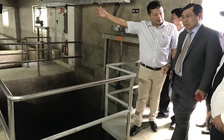 Chủ tịch Đà Nẵng Huỳnh Đức Thơ: 'Tình trạng xả thải ven biển rất đau đầu'