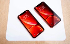 iPhone Xr nhận đặt mua ngày 19.10, giao hàng ngày 26.10