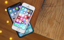 Apple thêm quá trình xác nhận mua sắm ứng dụng trả phí