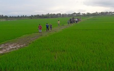 Sét đánh chết 1 phụ nữ và 1 con trâu