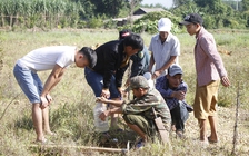 Độc đáo ngón nghề 'câu' dế cơm ở Hà Tĩnh
