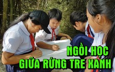 Lớp học giữa rừng tre