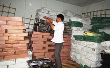 Phát hiện chất độc trong cá nục, dân kêu trời, cơ quan chức năng tranh cãi