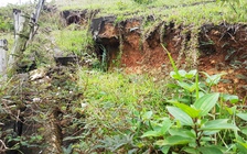 Đề nghị công bố tình trạng khẩn cấp để... nhanh chỉ định thầu