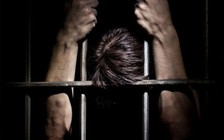 Đi tù vì... hái trộm mít