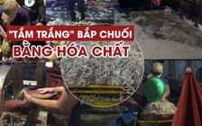 Kinh hoàng “tắm trắng” bắp chuối bằng hoá chất