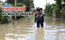 Dân thành phố không dám đi vệ sinh vì nước ngập