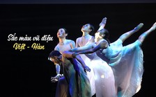 Nghệ sĩ Việt - Hàn trình diễn múa liên hợp 'Sắc màu vũ điệu'