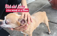 Chuyện về chú chó Lucky quấn quýt bên linh cữu nghệ sĩ Lê Bình