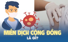 Miễn dịch cộng đồng là gì và vắc xin quan trọng ra sao trong đại dịch Covid-19?