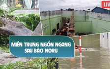 TRỰC TIẾP: Miền Trung ngổn ngang sau bão Noru