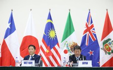 Đạt được thỏa thuận về TPP-11 sửa đổi