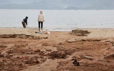 Bùn đất đỏ từ dự án 'bạt núi' Sơn Trà đổ xuống biển Tiên Sa