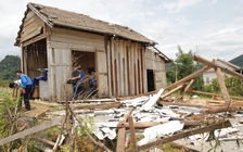 Tan hoang vùng tâm bão