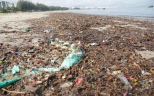 Không còn nhận ra bãi biển Đà Nẵng sau những trận mưa lớn