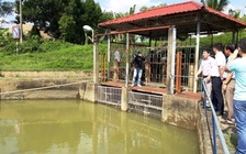 Không thiếu nước, Đà Nẵng vẫn 'khát'