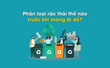 Phân loại rác thải thế nào trước khi mang đi đổ?