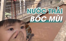 Mất ăn mất ngủ vì trạm xử lý nước thải bốc mùi hôi thối