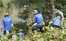 “Mở chiến dịch” trục vớt hơn 9 triệu m 2 lục bình