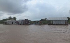 Tanh cá… như cồn Cái Gà